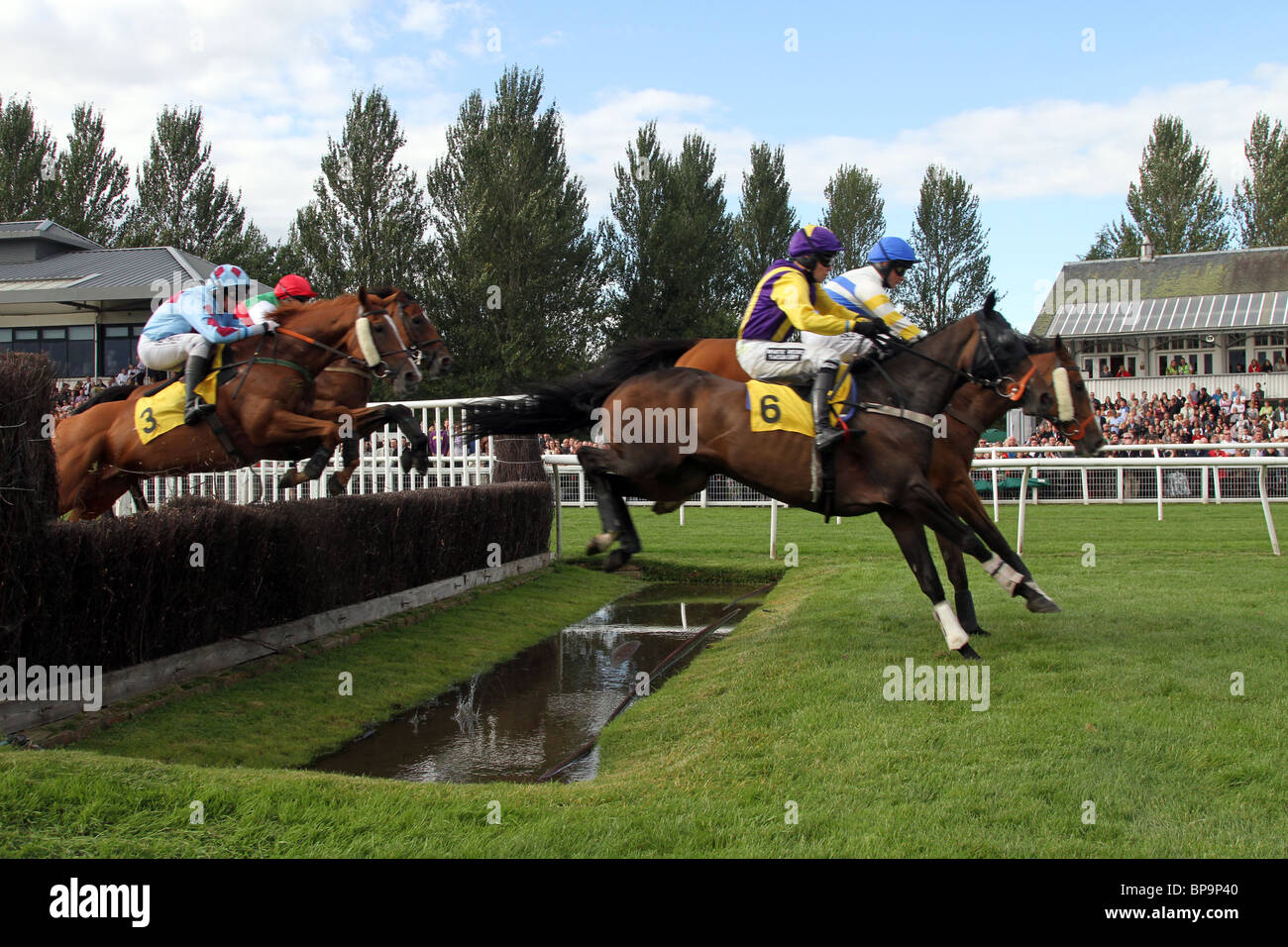 Saturday 21st August, Horses jumping water jump ditch on Perth 800 Race