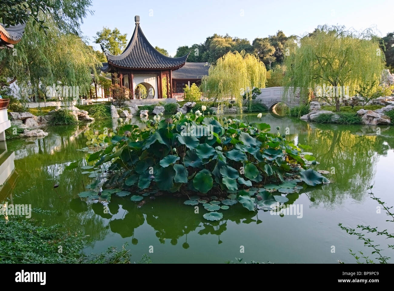 huntington gardens chinese new year 2025