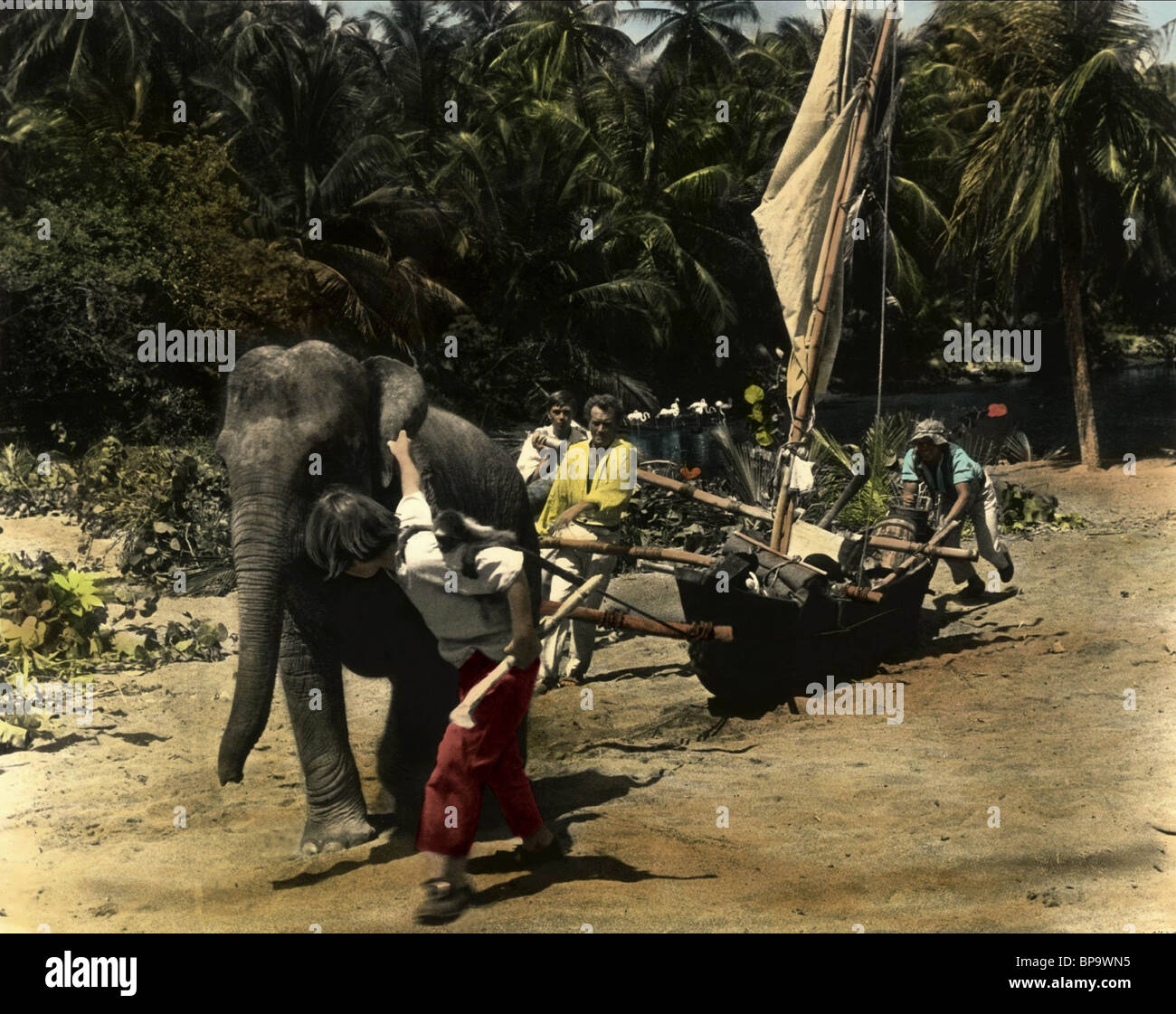 ELEPHANT PULLING BOAT SWISS FAMILY ROBINSON (1960 Stock Photo 30950561