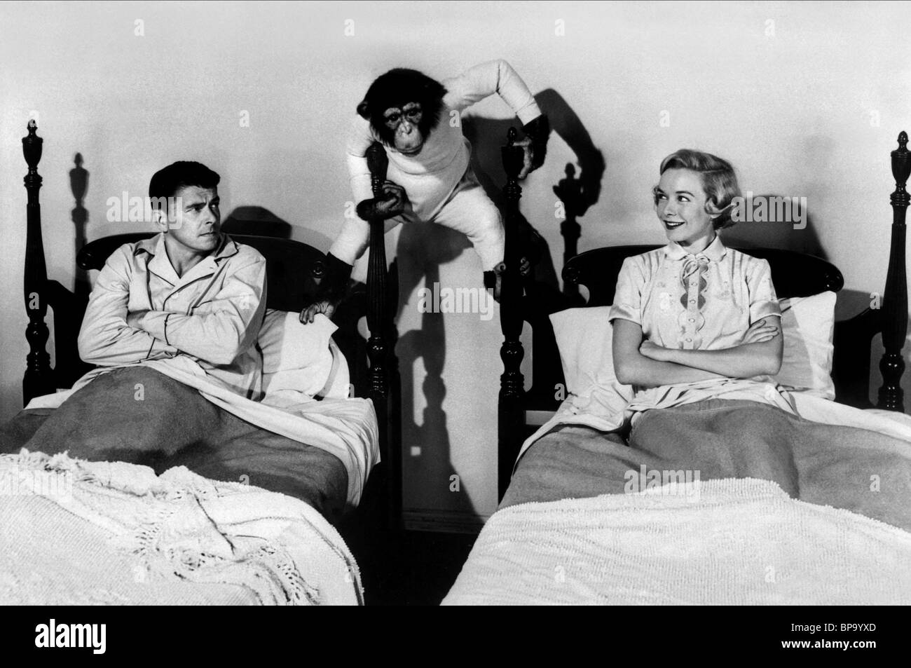 RONALD REAGAN BONZO DIANA LYNN BEDTIME FOR BONZO (1951) Stock Photo