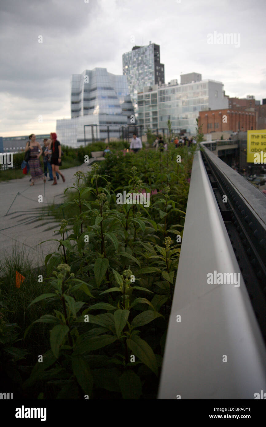 High Line Park Stock Photo Alamy