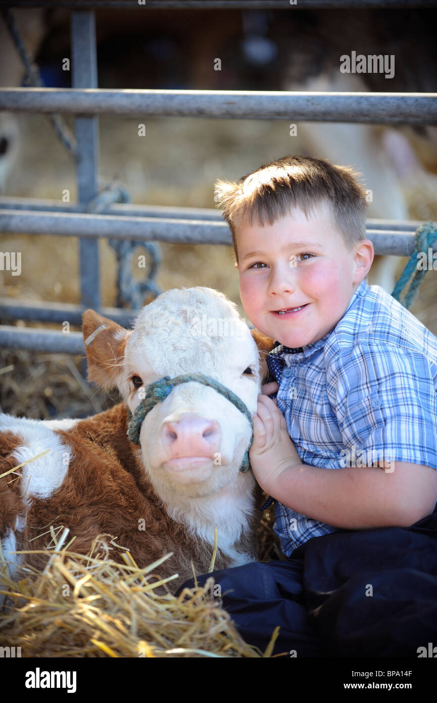 Heathfield Show Honey, a recently born pure-bred Simmental, with her young handler. Stock Photo