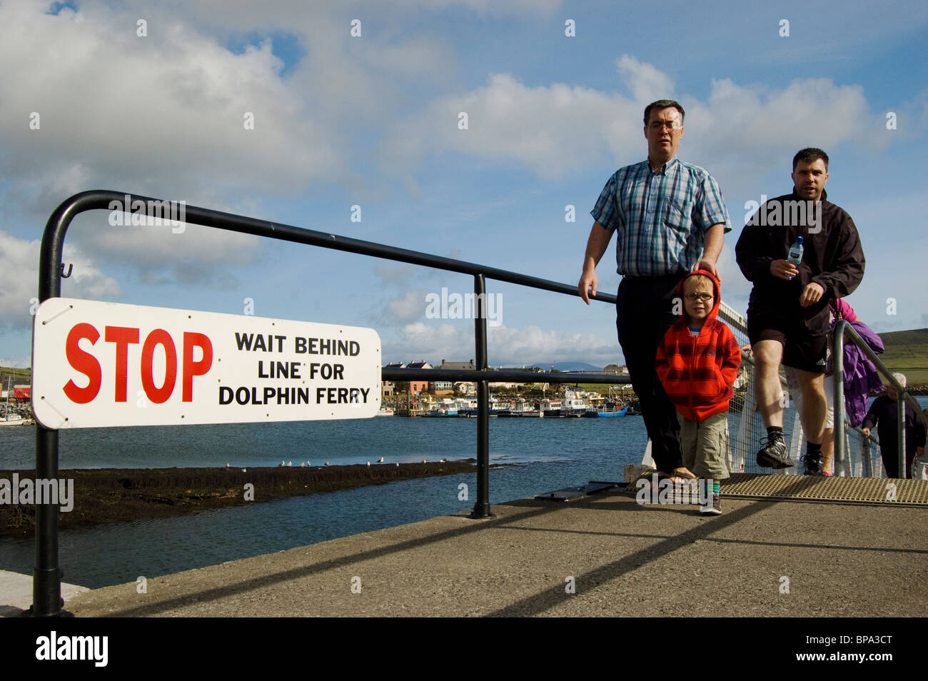 dolphin trip, dingle Stock Photo