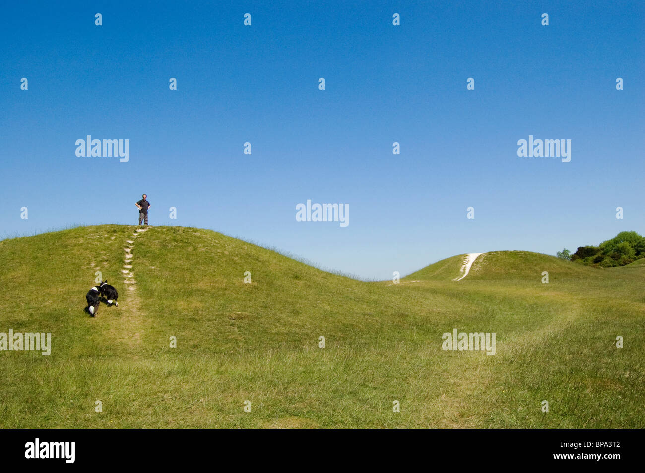 kingley vale, ancient burial site of kings Stock Photo