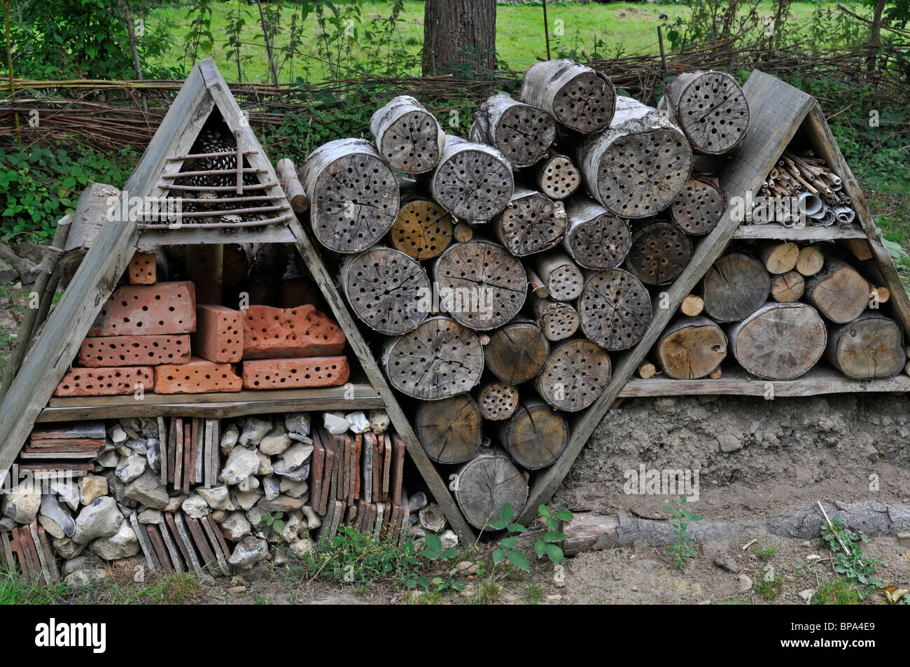 Bug hotel, Artificial nest holes and shelter for insects and invertebrates Stock Photo