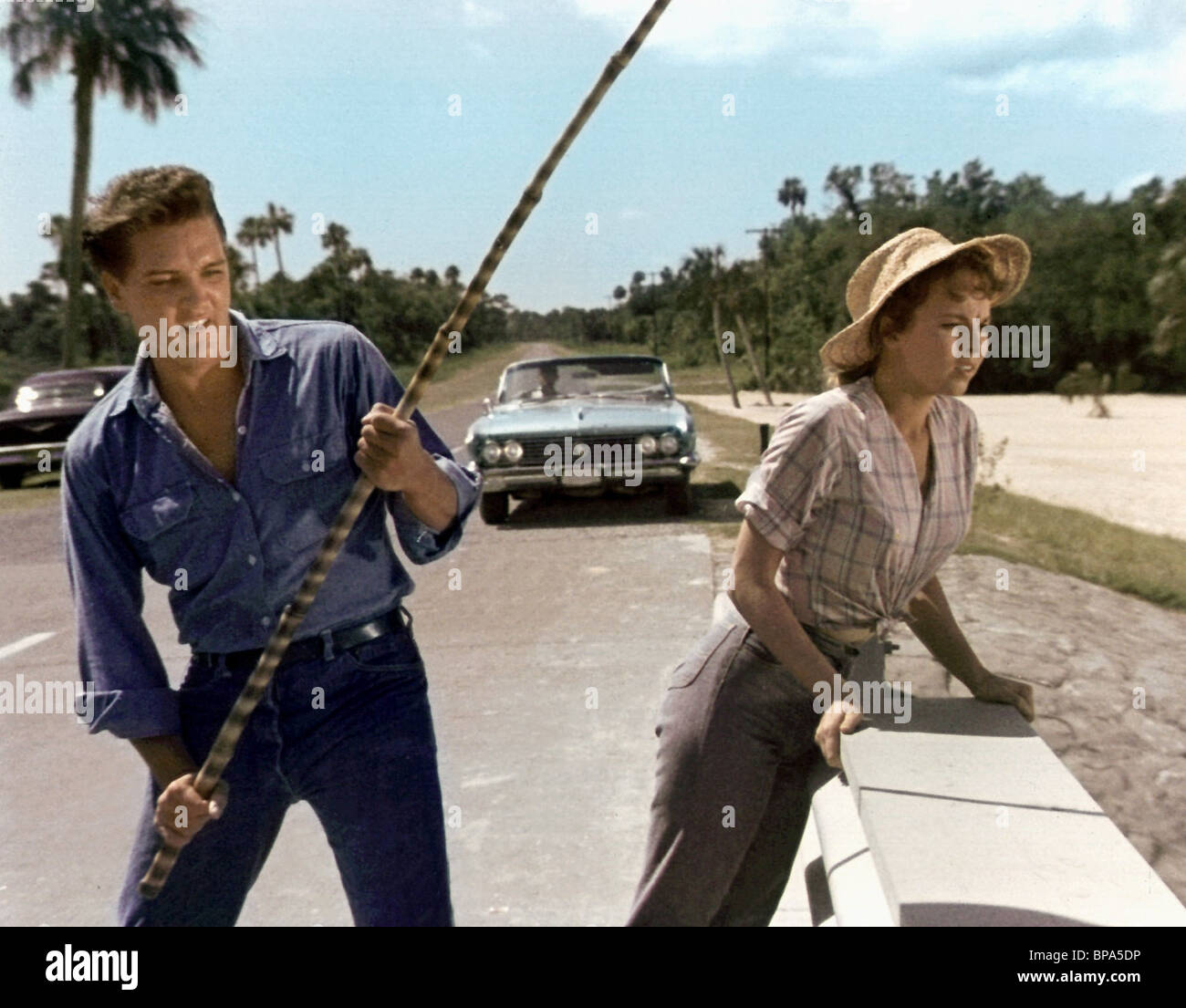 Download Follow That Dream 1962 YIFY Torrent for 1080p
