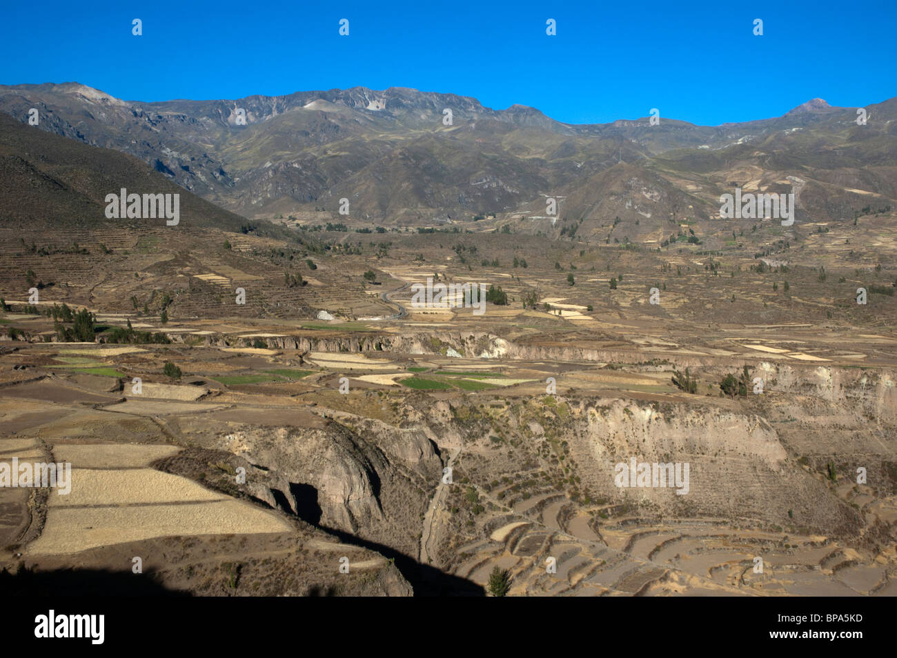 Colca Canyon, Peru Stock Photo - Alamy