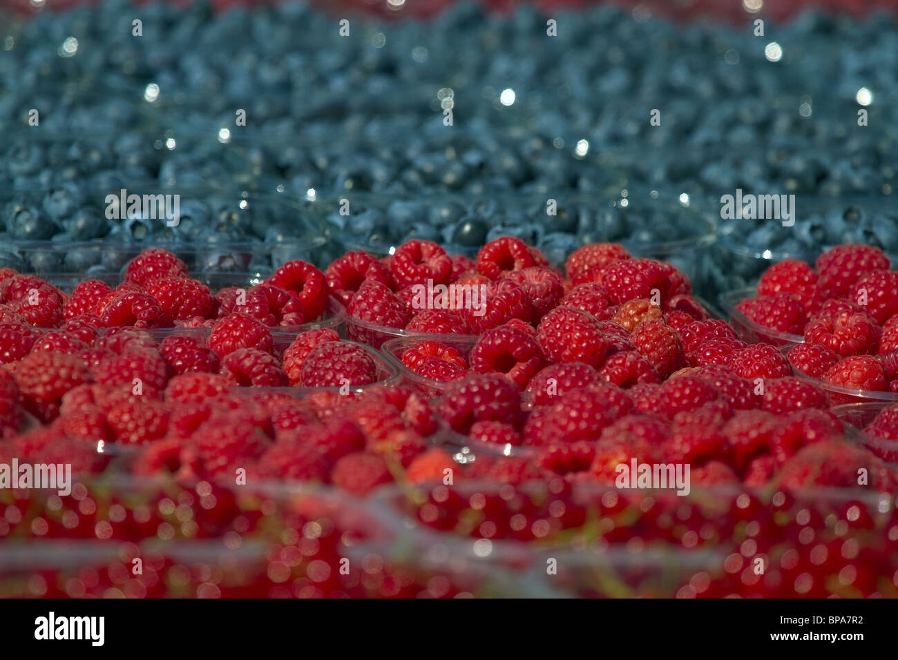 Farmers market. bunch of rasp- and blueberries. Narrow focus, bokeh (sdof). Horizontal Stock Photo