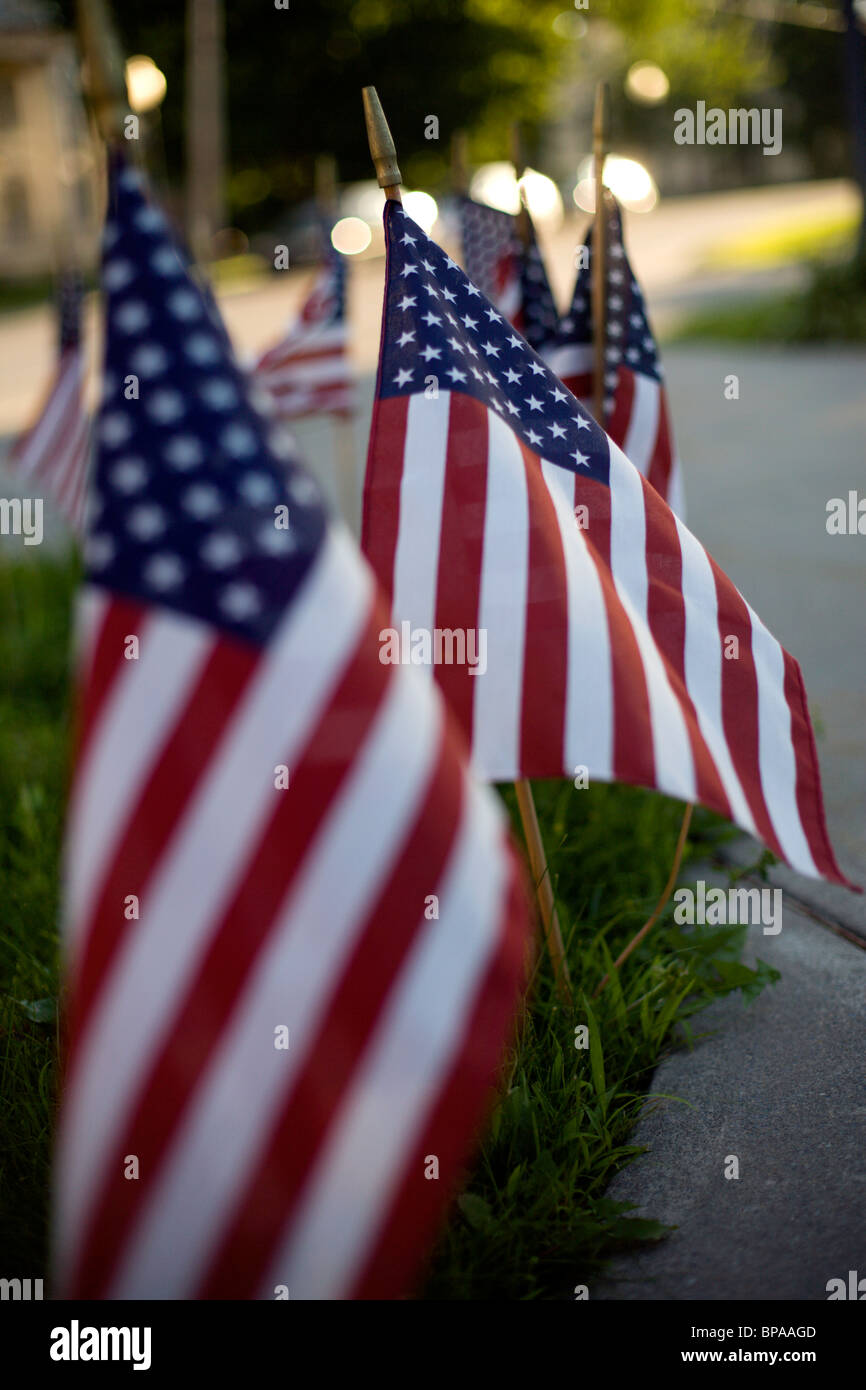 American Flags Stock Photo