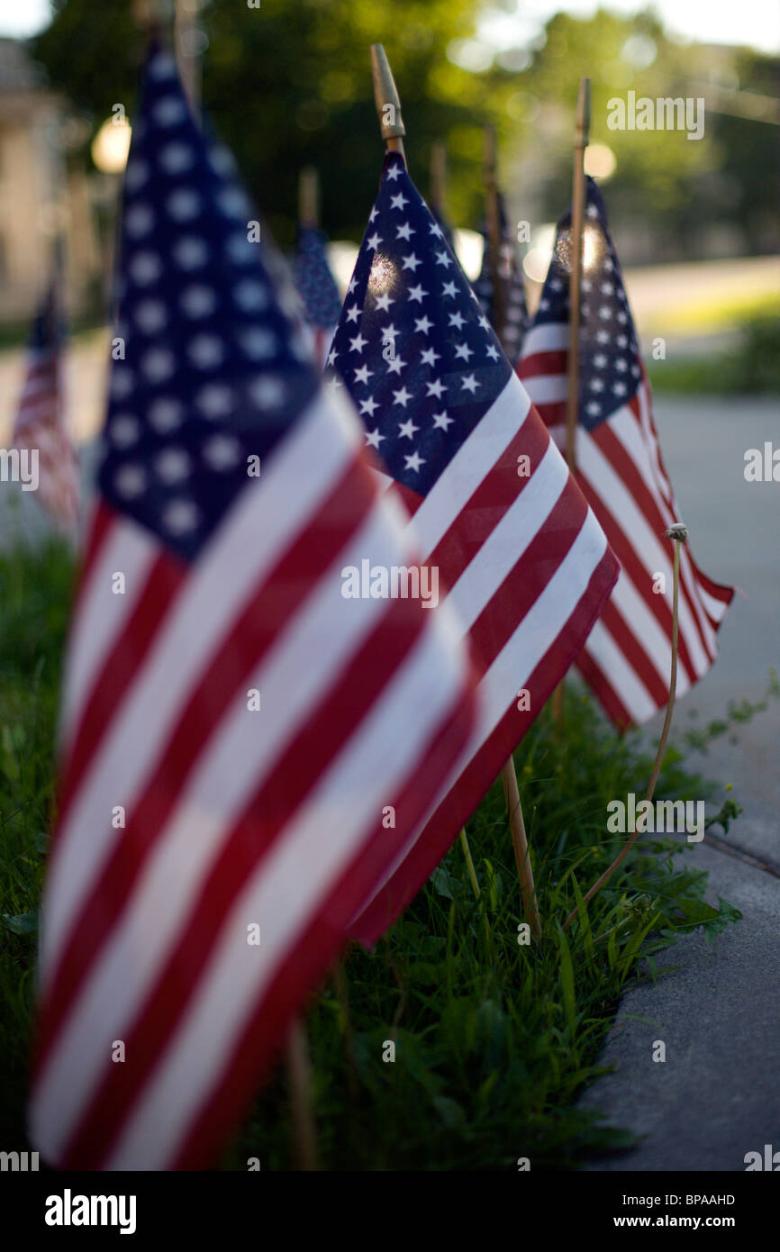 American Flags Stock Photo