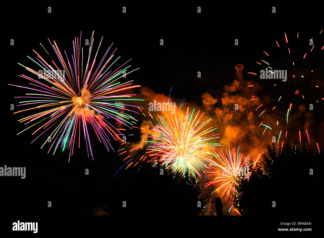 Firework bursts in the night sky, over trees (just visible). Space for text in the dark of the night sky. Stock Photo