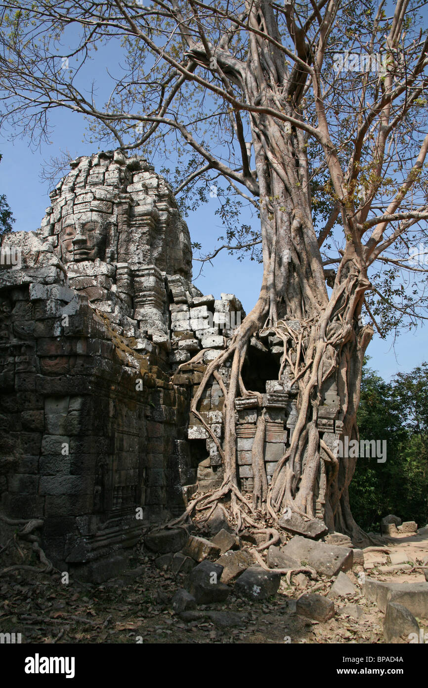 Ta Som temple at Angkor, Cambodia Stock Photo - Alamy