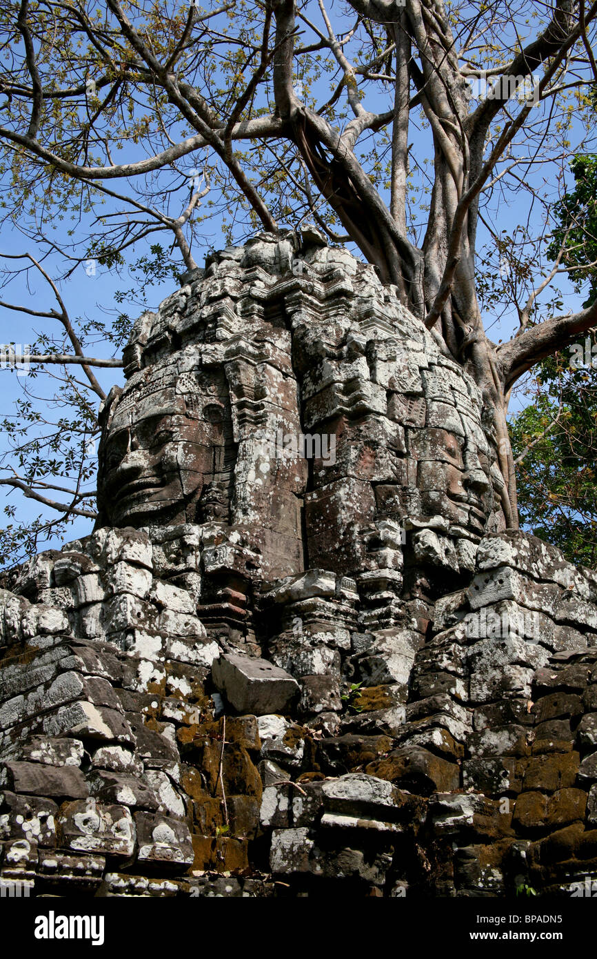 Ta Som temple at Angkor, Cambodia Stock Photo - Alamy