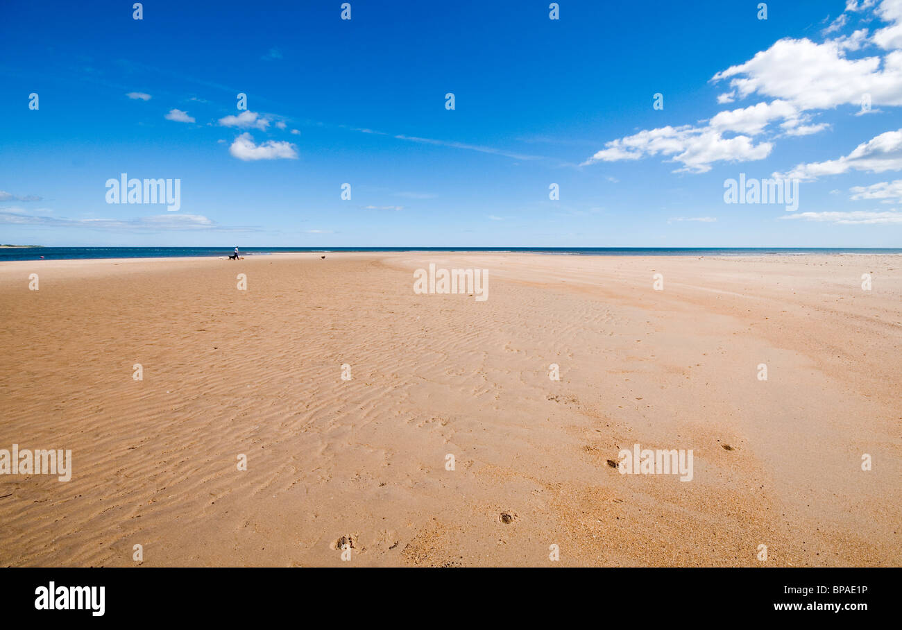 Empty sandy beach man walking hi-res stock photography and images - Alamy