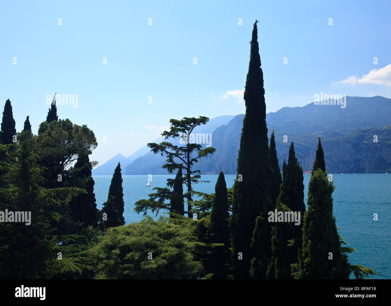 Lake Garda through the Cypress trees from castle walls of Malcesine, Veneto, Italy Stock Photo