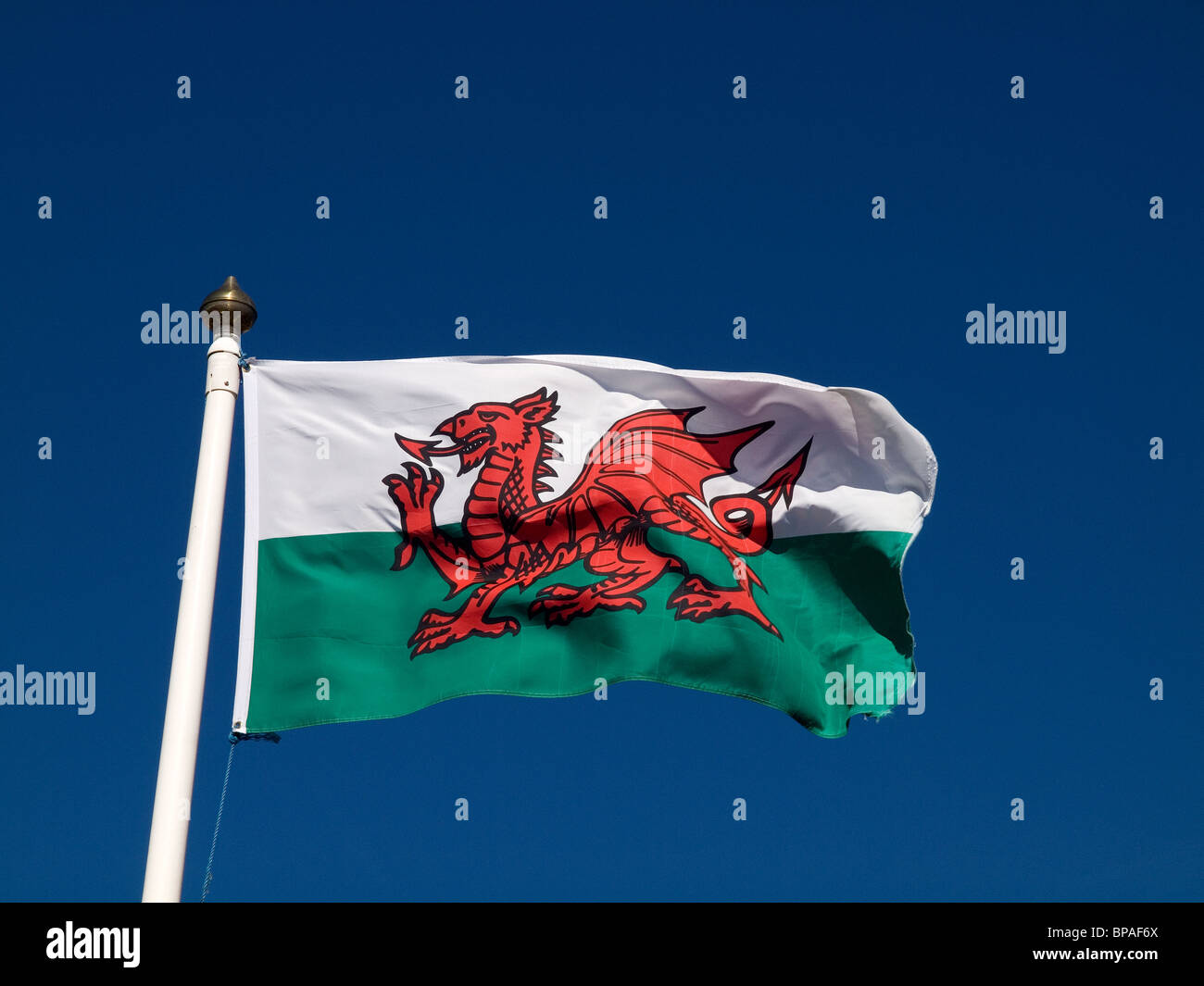 The Red Dragon National Flag of Wales Stock Photo