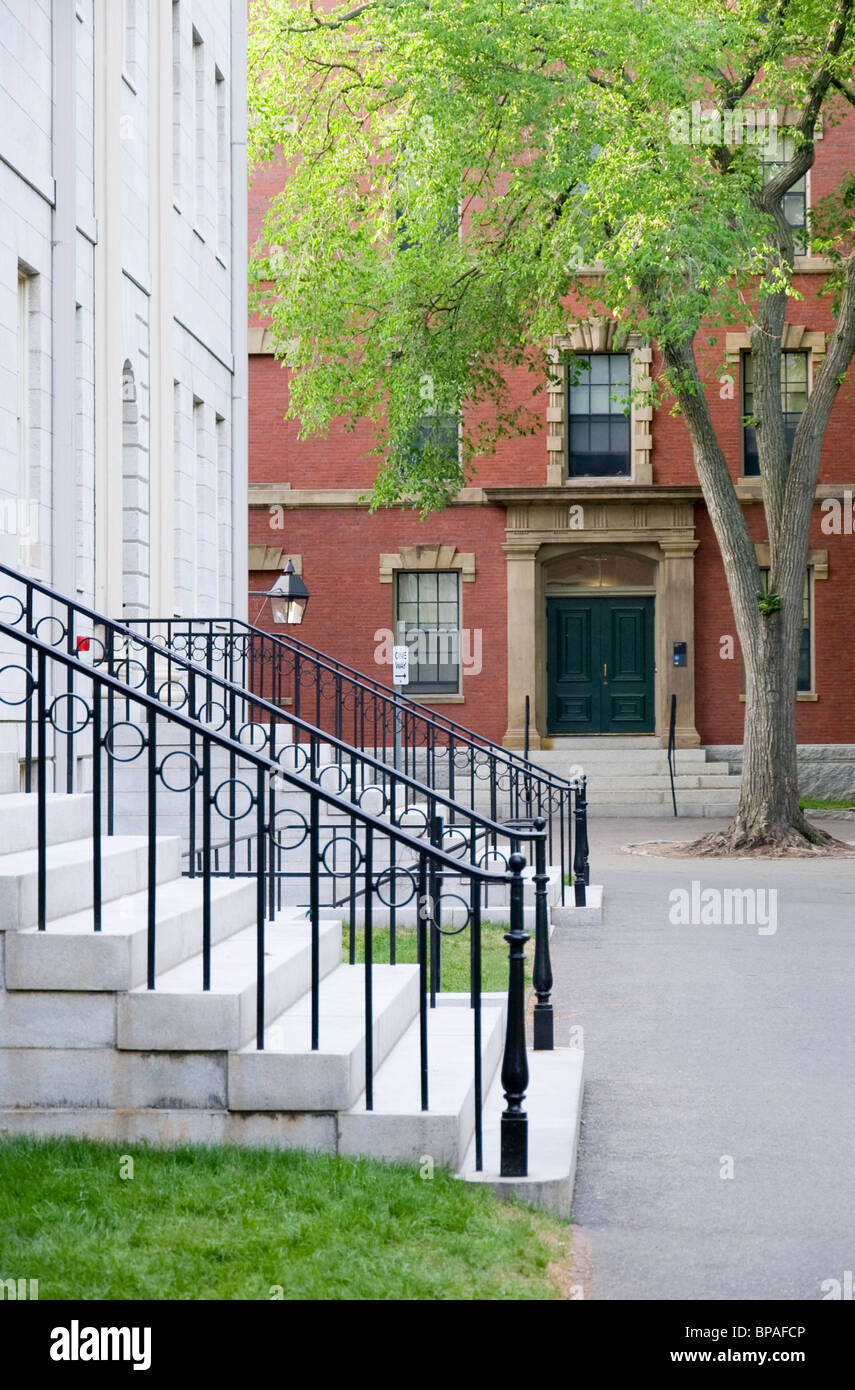 Scene from Harvard Yard in Harvard University Cambridge Massachusetts USA Stock Photo