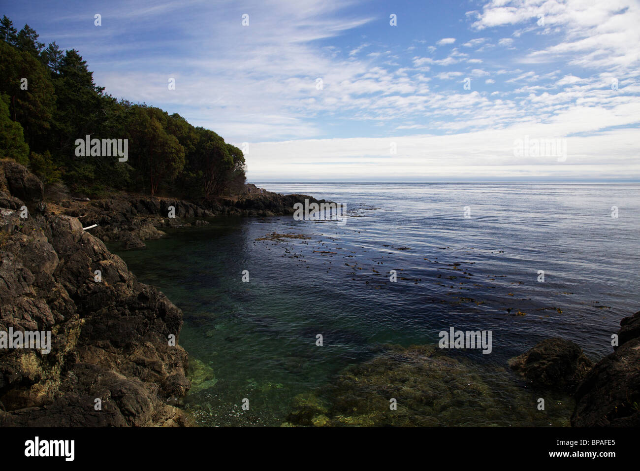 Rocky coast at Lime Kiln State Park. San Juan Island, Washington. Stock Photo