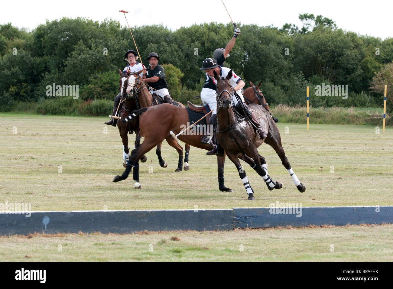 Polo Match - Cutting Board main image 1