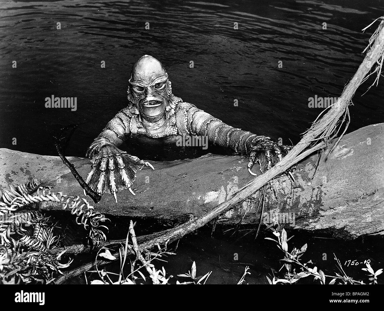 Ben Chapman Creature From The Black Lagoon 1954 Stock Photo Alamy Ben Chapman Creature From The Black Lagoon 1954 Stock Photo Alamy