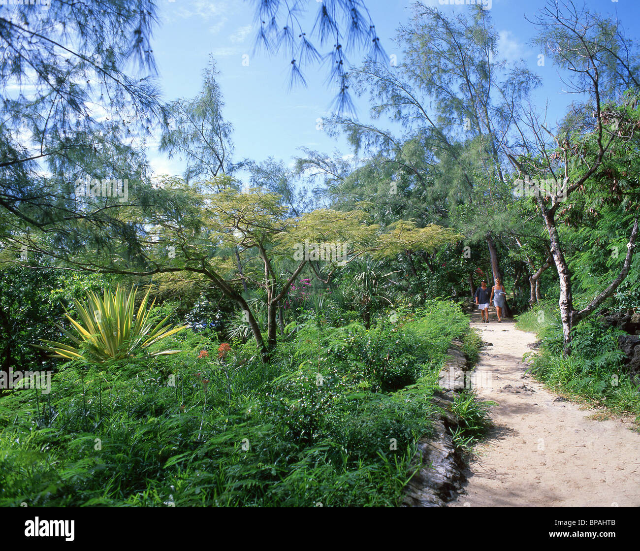 Walking track through bush, Île aux Cerfs, Flacq District, Republic of Mauritius Stock Photo