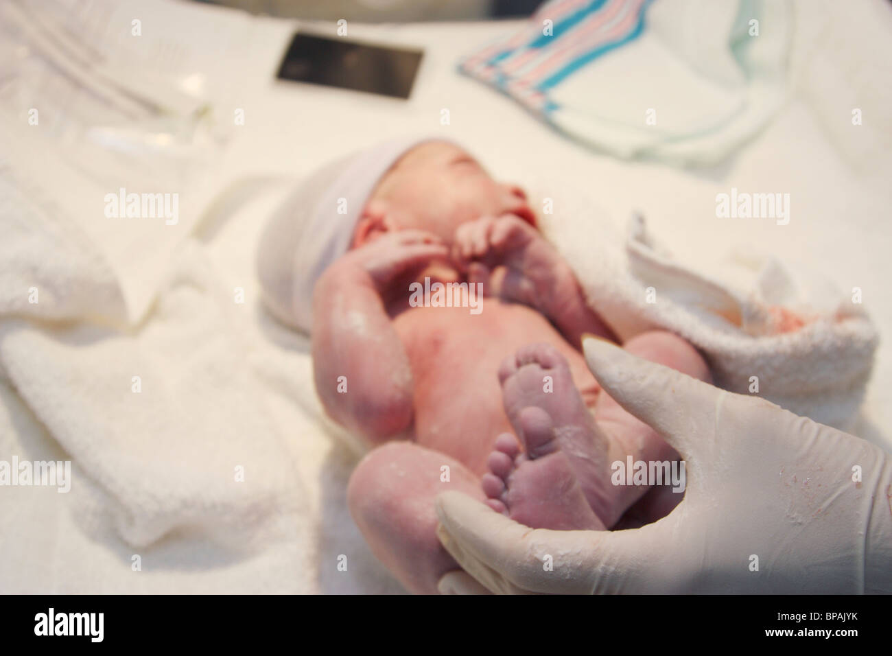 Newborn Baby Boy, Only Minutes Old Stock Photo