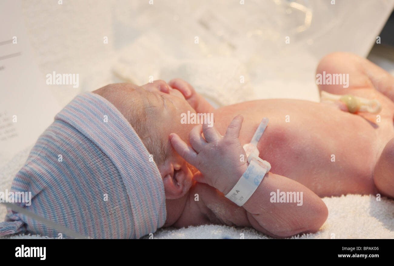 Brand New Baby Boy, Only Minutes Old Stock Photo
