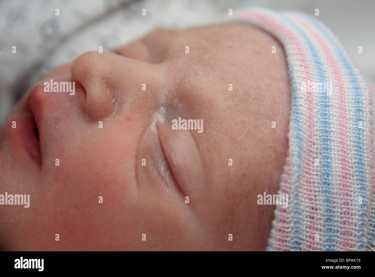 Newborn Baby, only minutes old Stock Photo