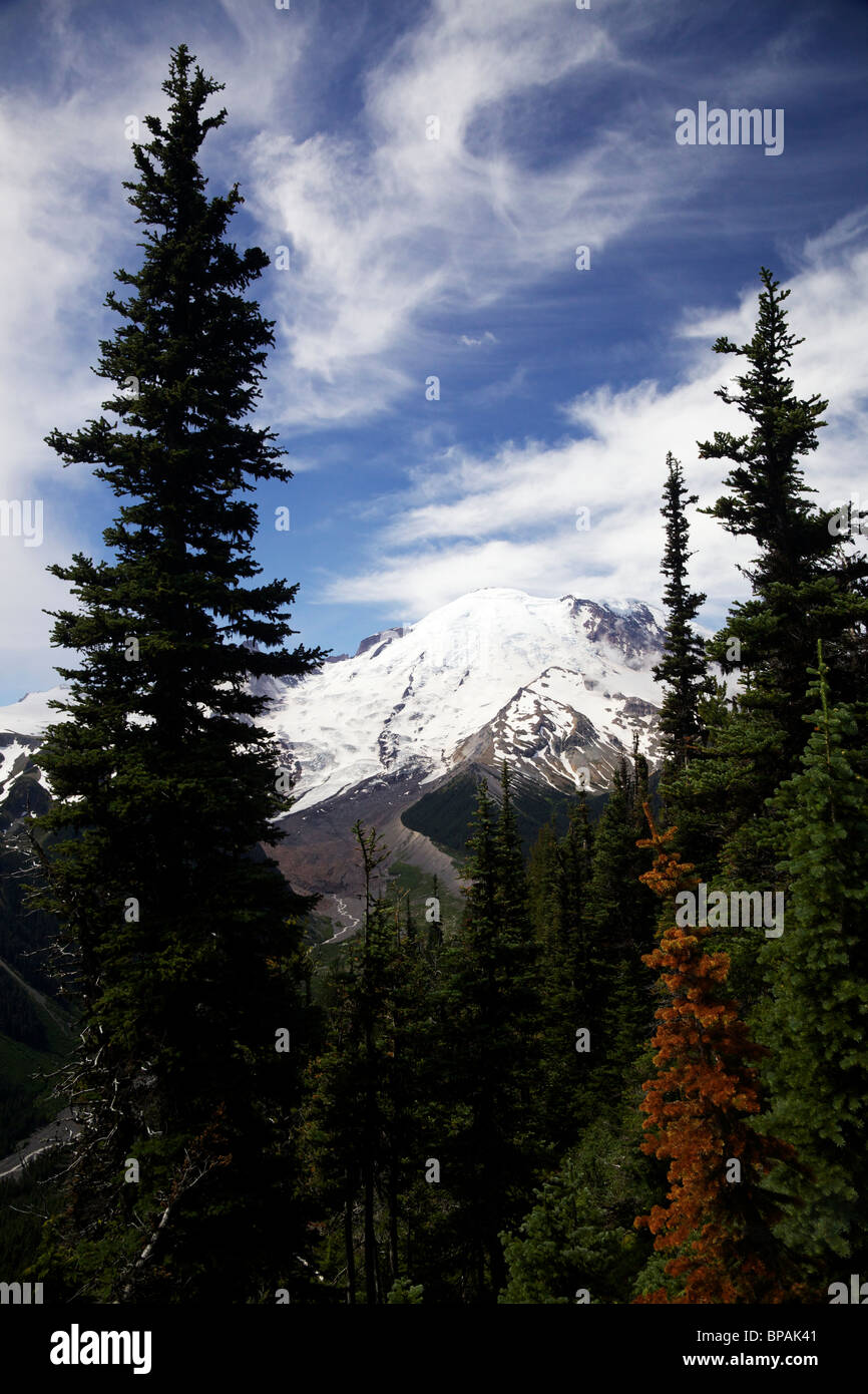 Mount Rainier through trees. Sunrise area. Stock Photo
