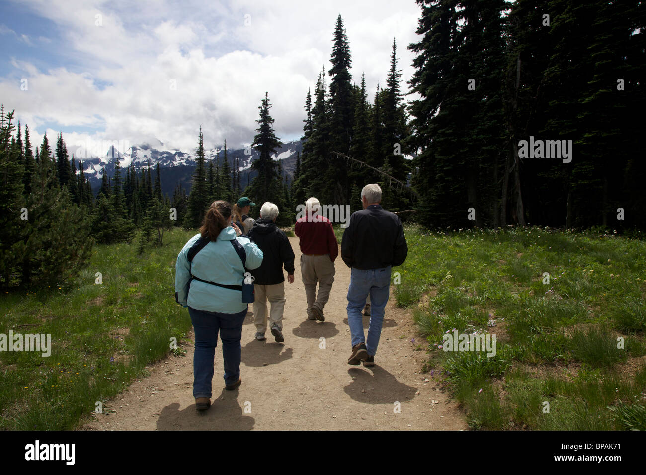 Park visitors on guided nature hike. Sunrise area. Mount Rainier National Park, Washington. Stock Photo