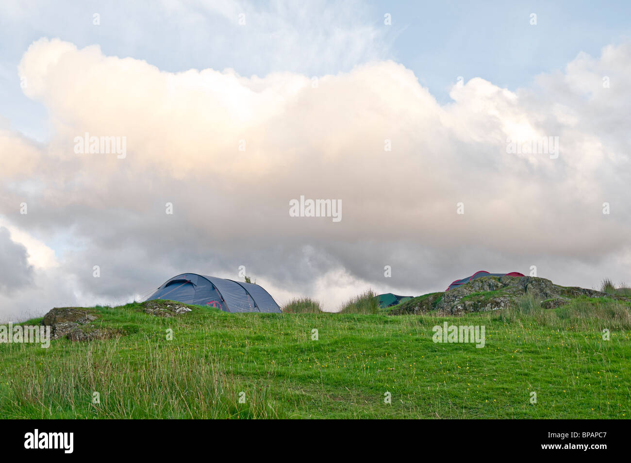 Tents pitched up on Campsite in Lake District, Cumbria, UK Stock Photo