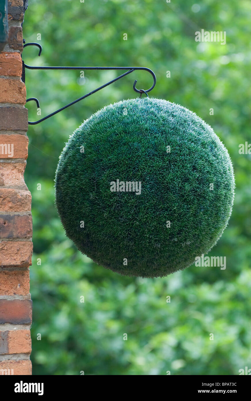 clipped hedge ball hanging from house wall Stock Photo