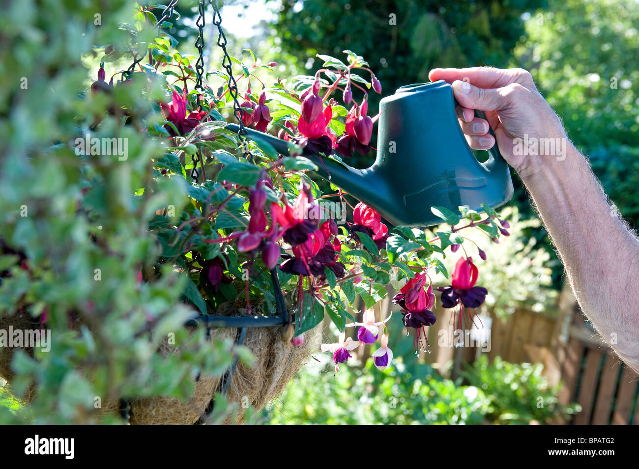 Flowers in the basket should be watered Flowers in the basket should be watered