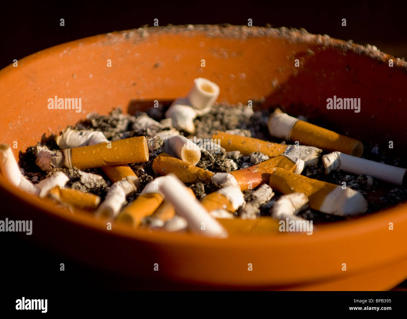 pipe tobacco tray Makerbook · Tobacco Pipe holder With Sectioned Drawer pipe tobacco tray Makerbook · Tobacco Pipe holder With Sectioned Drawer