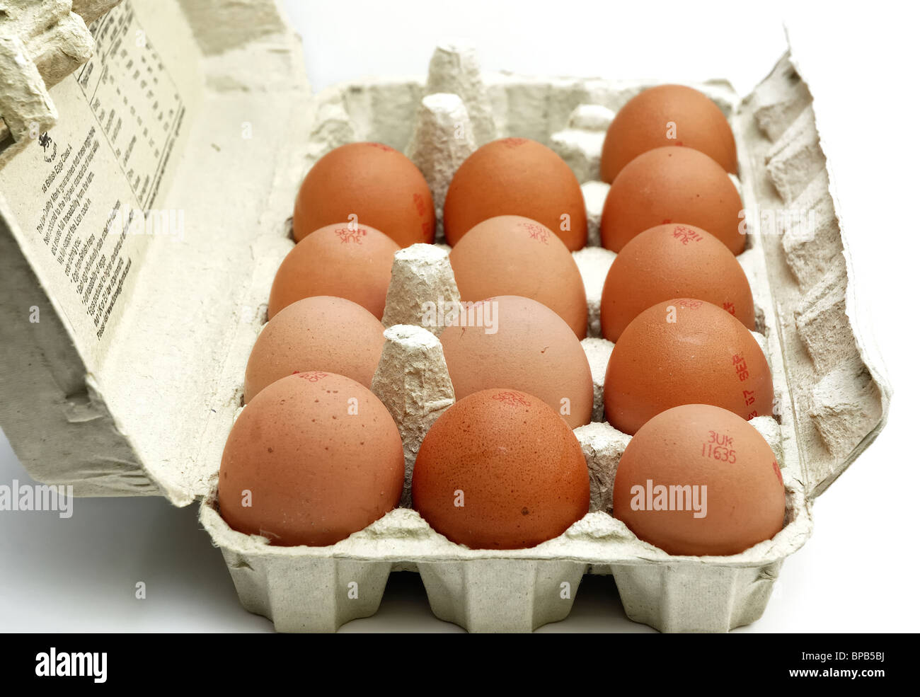 British eggs in egg box england uk Stock Photo Alamy