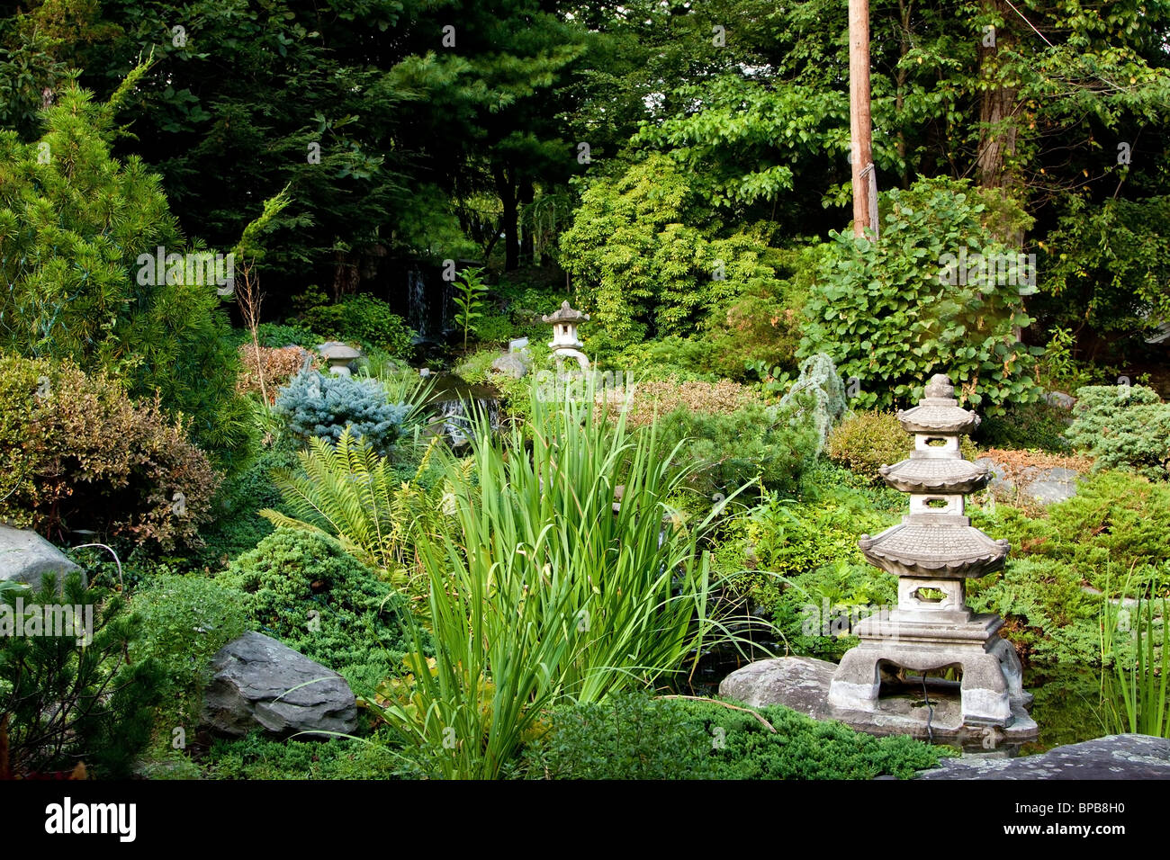 Japanese zen garden used for meditation and relaxation, filled with green vegetation and granite Rokkaku Yukimi Lanterns. Stock Photo