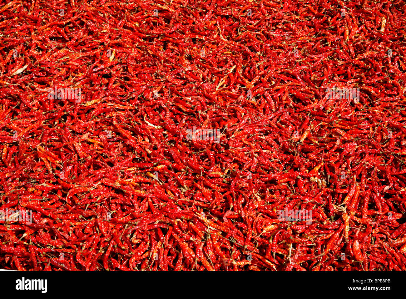 chillies Stock Photo