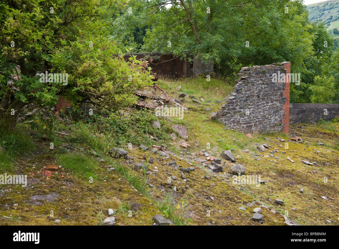 Ruins of former village primary school at Troedrhiwgwair Blaenau Gwent South Wales Valleys UK Stock Photo