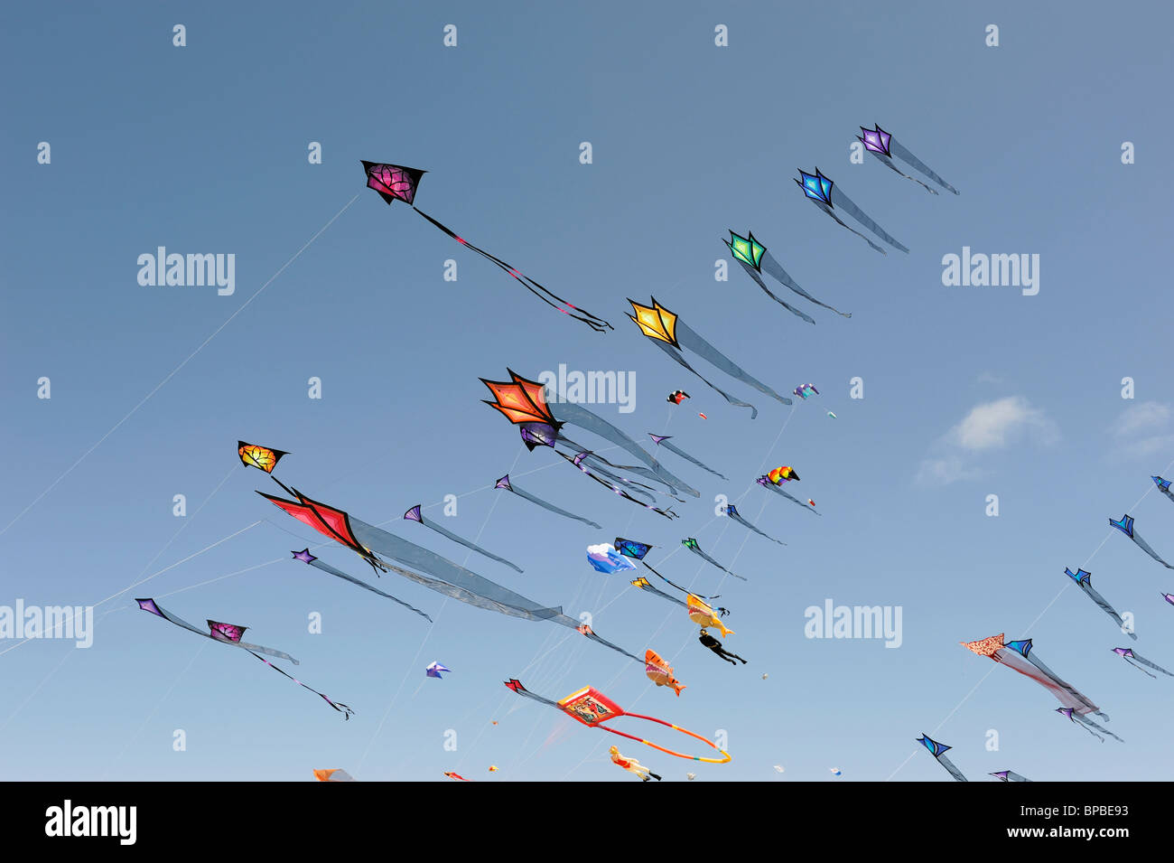 Sky full of kites Stock Photo