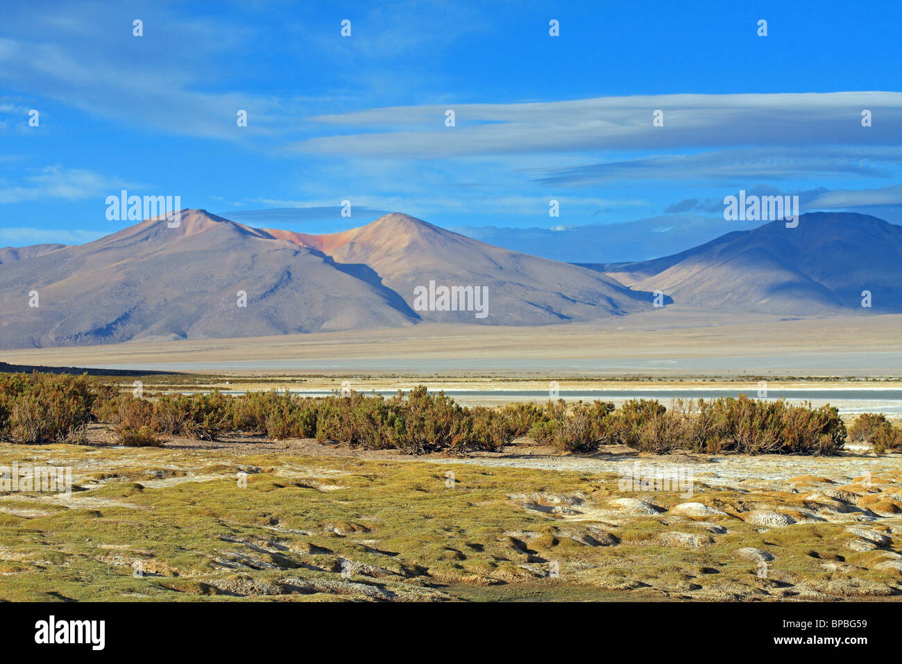 Salar del Huasco salt lake and Andes Mountains, Tarapaca Province, northern Chile Stock Photo