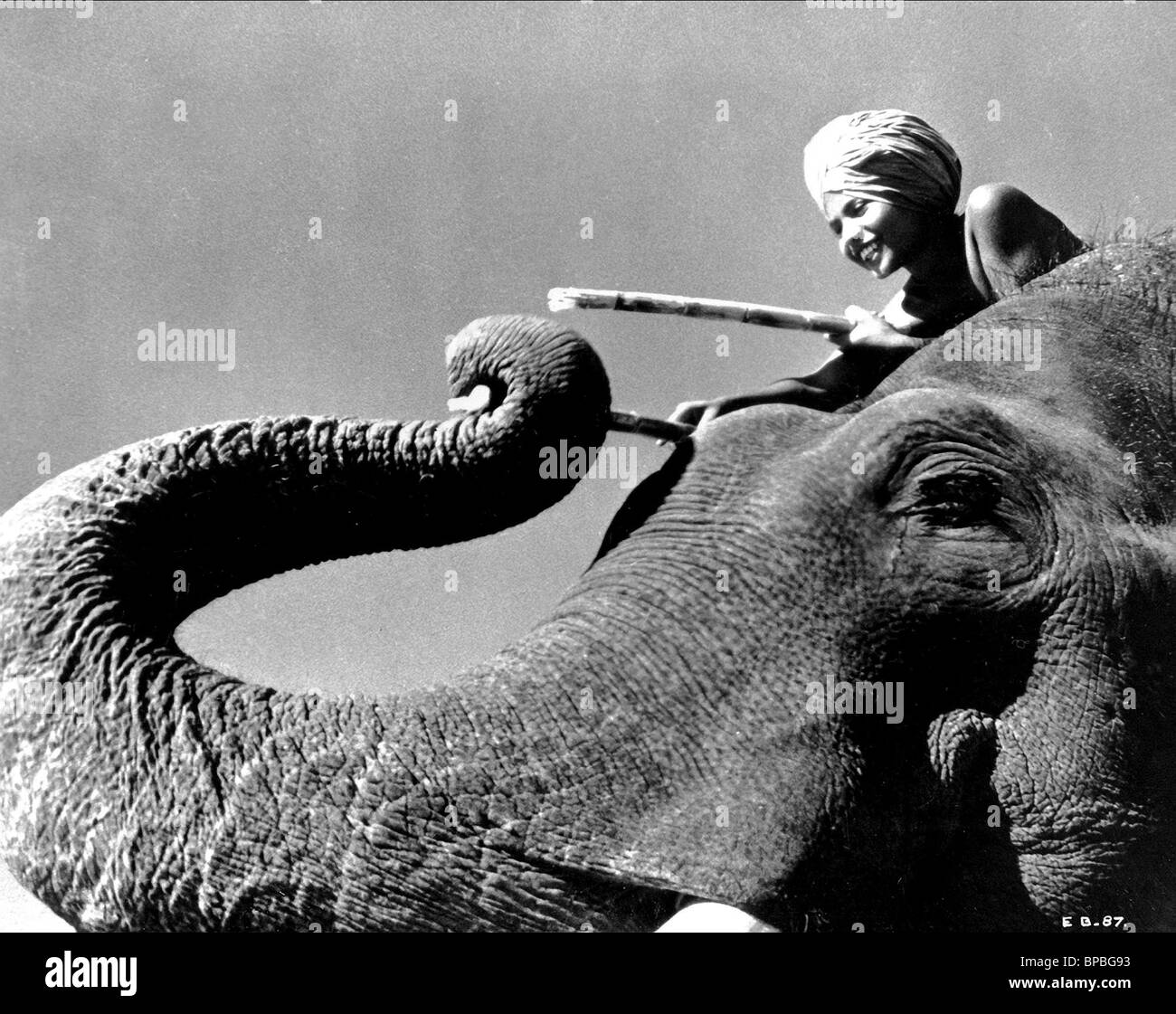 SABU & ELEPHANT ELEPHANT BOY (1937) Stock Photo