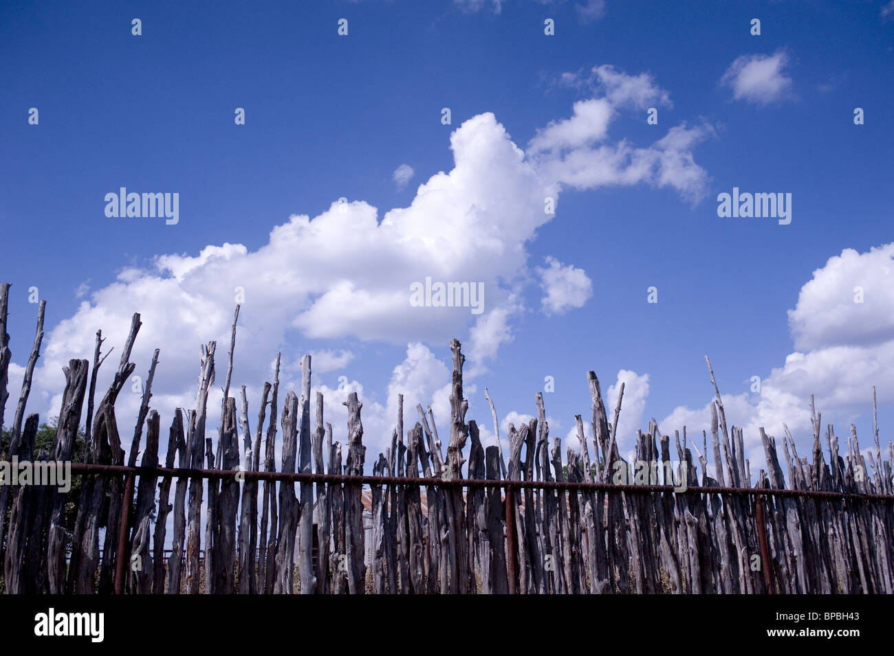 Cedar fence posts hi-res stock photography and images - Alamy
