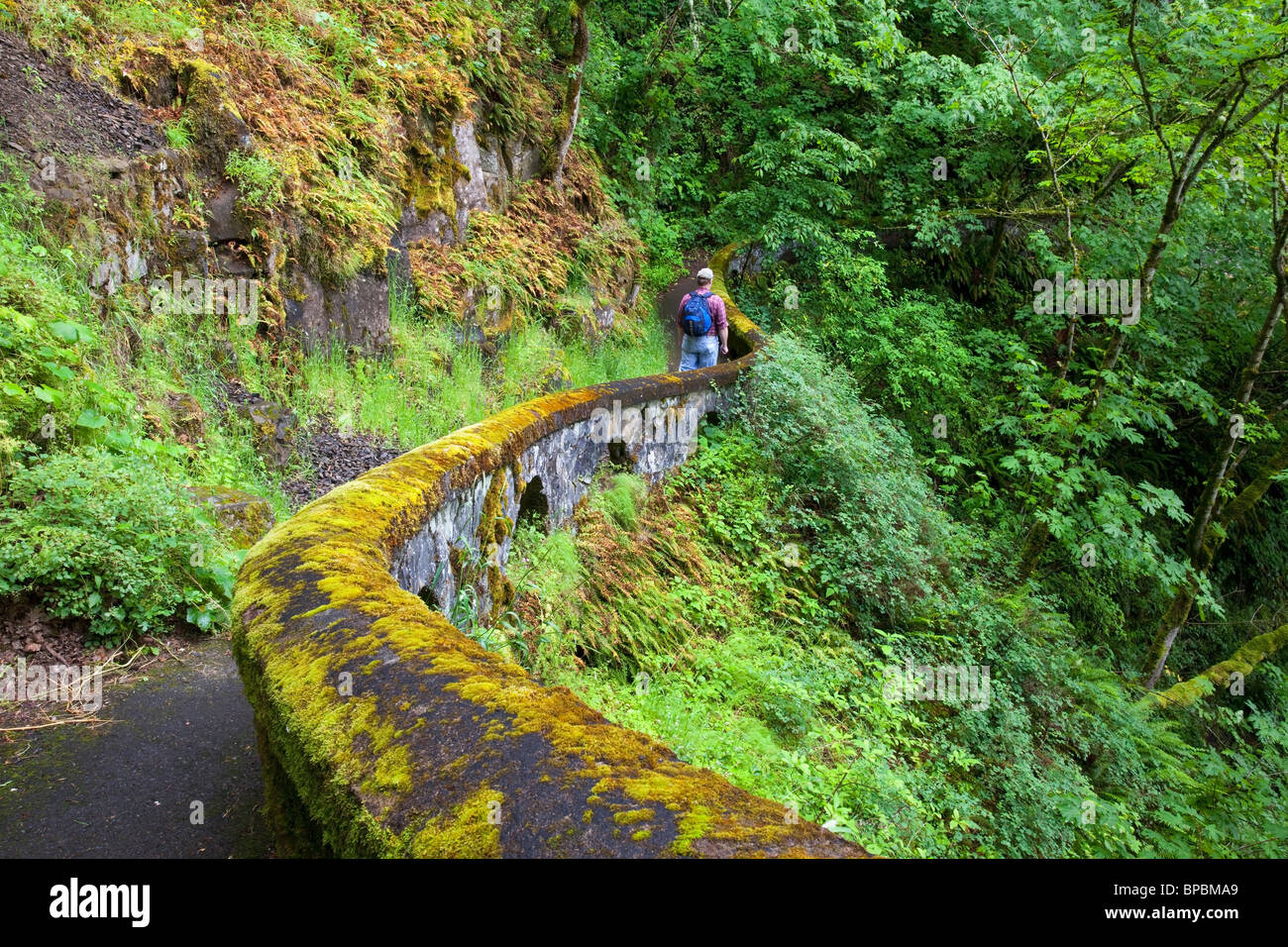 oregon, united states of america; a hiker along sheppard's del in columbia river gorge national scenic area Stock Photo