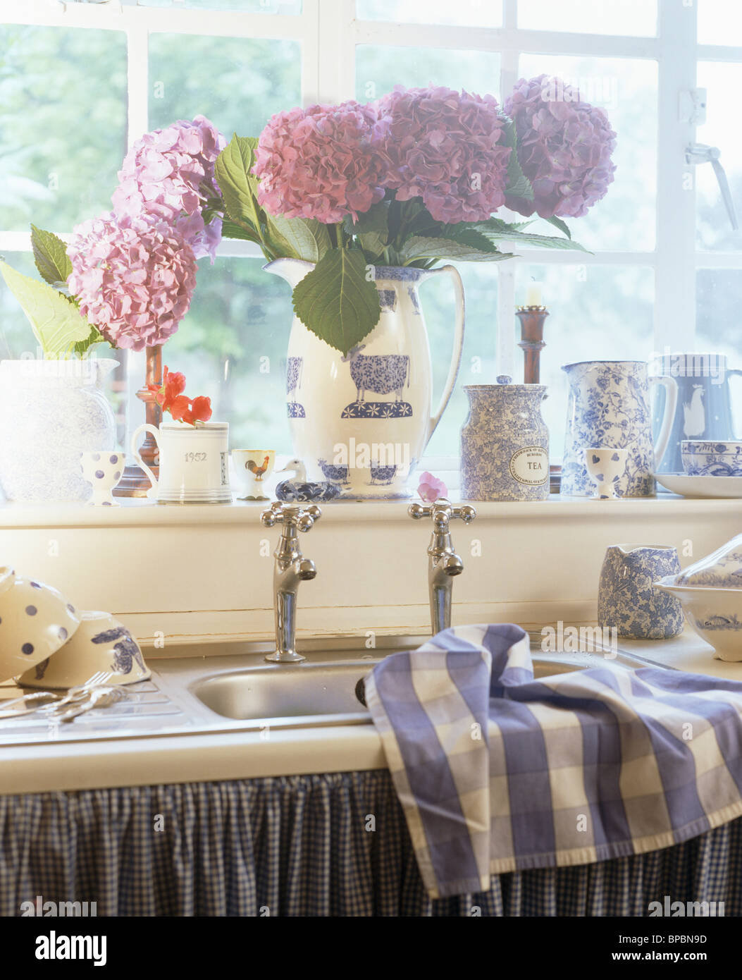 Close-up of jug of mauve hydrangeas on window-sill above kitchen sink with blue+white checked tea-towel Stock Photo