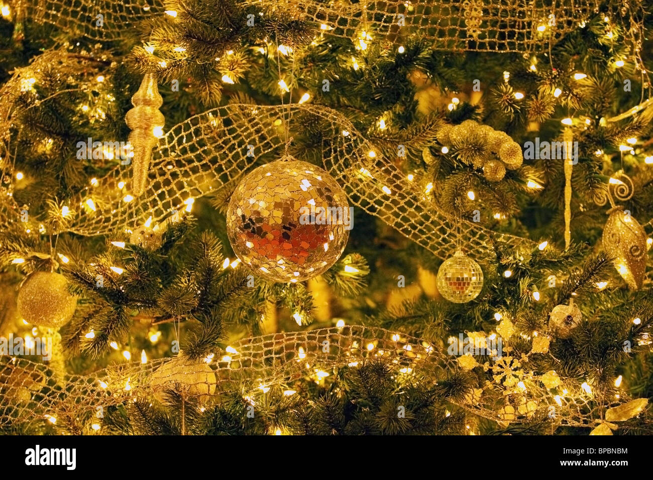 edmonton, alberta, canada; a decorated christmas tree Stock Photo Alamy