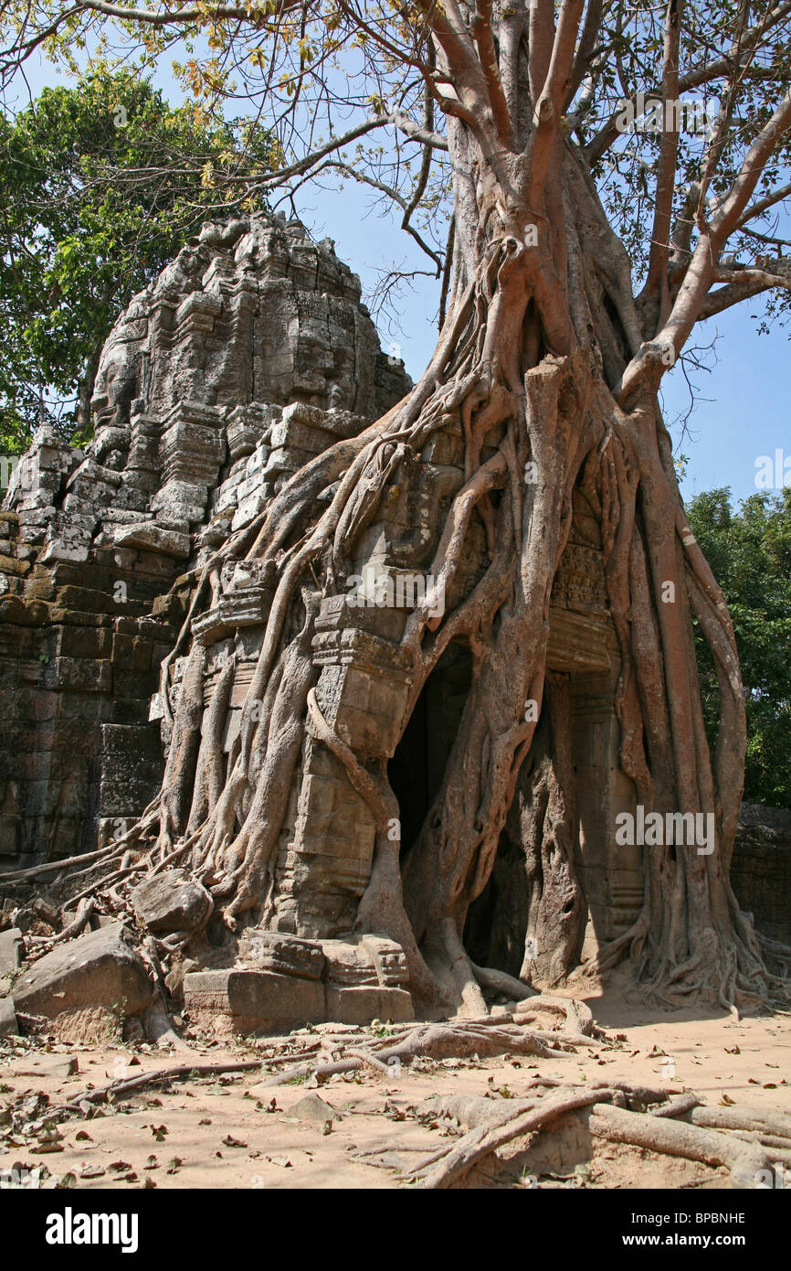 Ta Som temple at Angkor, Cambodia Stock Photo - Alamy