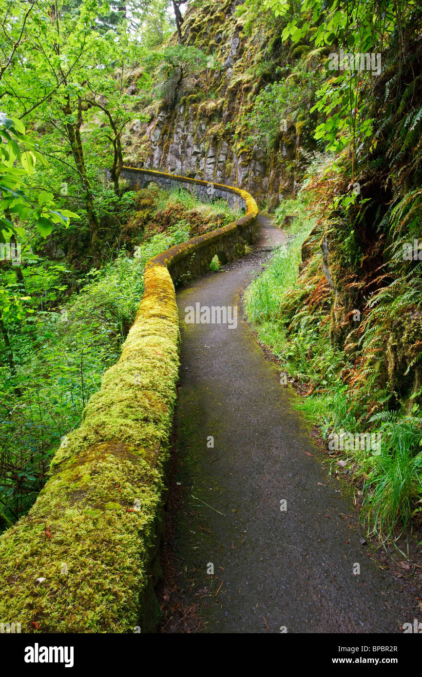 oregon, united states of america; a trail in sheppard's del in columbia river gorge national scenic area Stock Photo