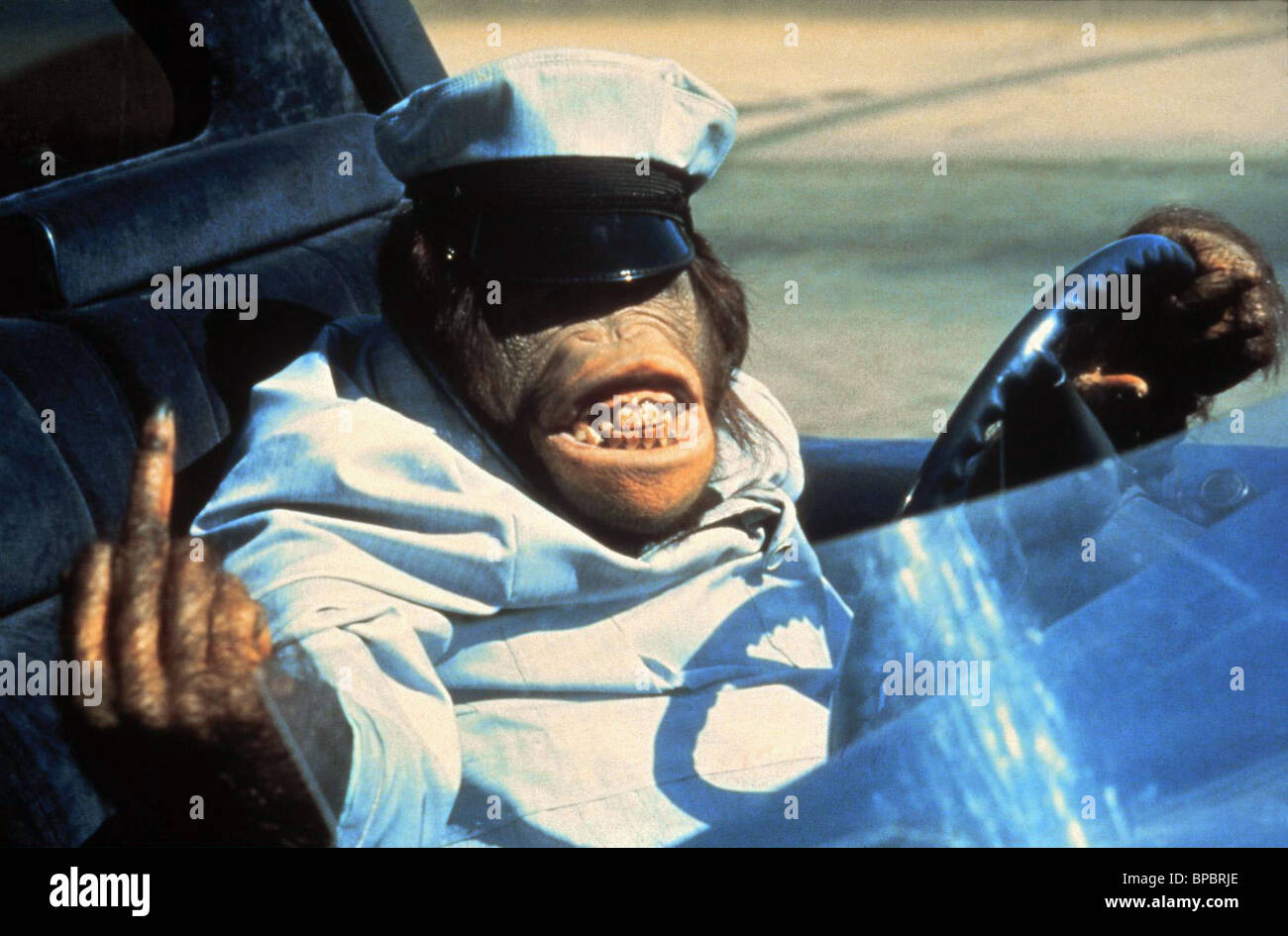 chimpanzee-as-schaefer-cannonball-run-ii-1984-BPBRJE.jpg