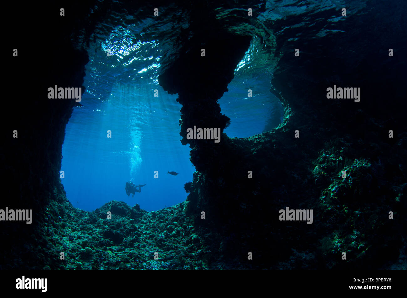 Diver exploring the entrance to a cave, Misool, West Papua, Indonesia ...