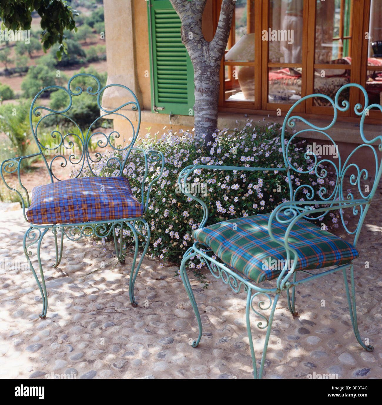 Checked cushions on ornate green wrought-iron chairs in shady pebble-paved seating area with geranium under-planted below tree Stock Photo